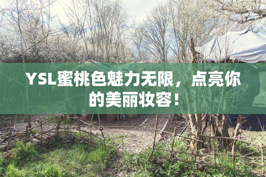 YSL蜜桃色魅力无限，点亮你的美丽妆容！