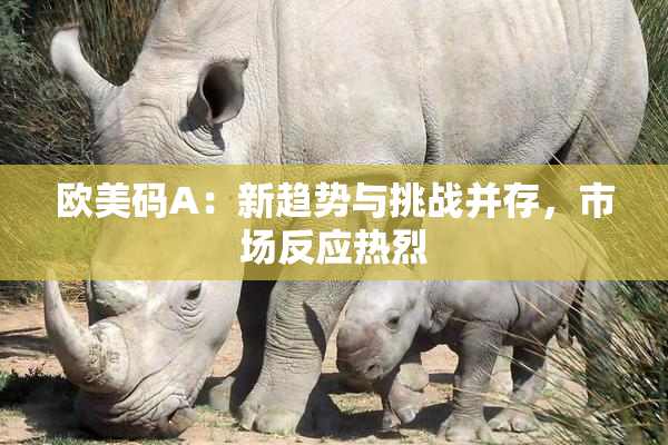 欧美码A：新趋势与挑战并存，市场反应热烈