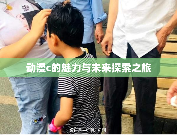 动漫c的魅力与未来探索之旅