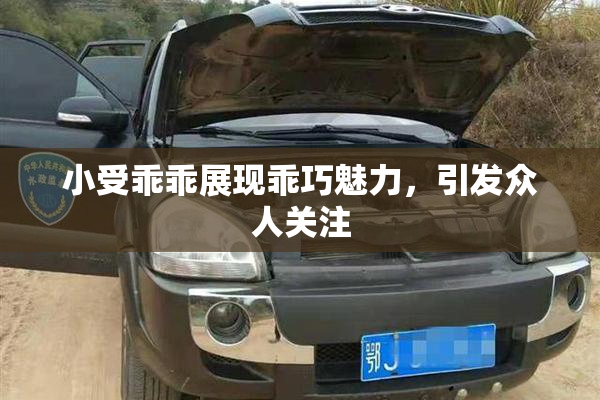 小受乖乖展现乖巧魅力，引发众人关注