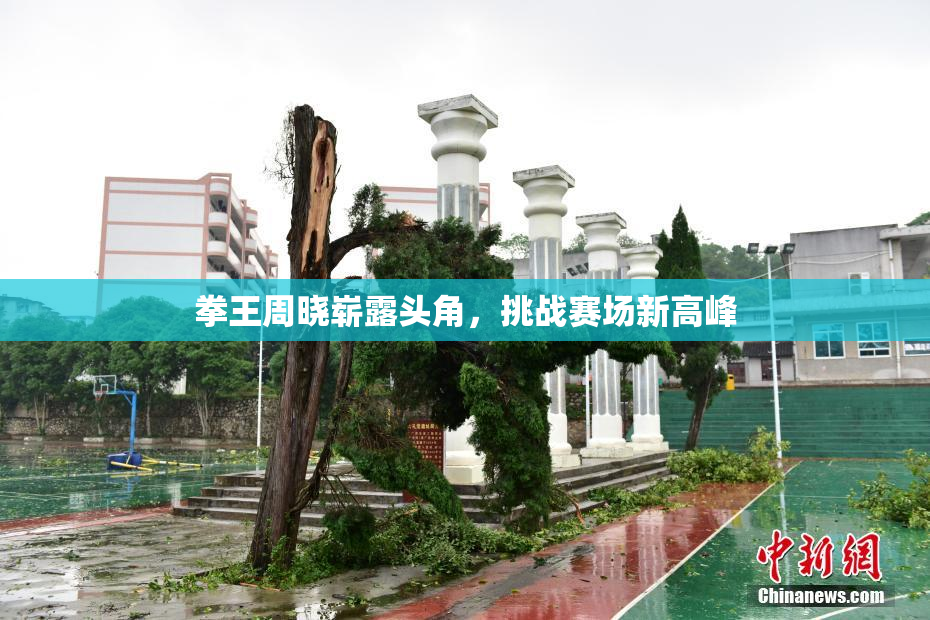 拳王周晓崭露头角，挑战赛场新高峰