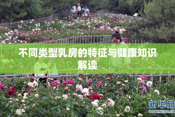 不同类型乳房的特征与健康知识解读