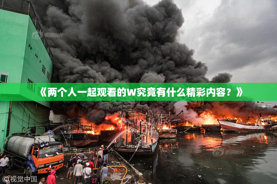 《两个人一起观看的W究竟有什么精彩内容？》