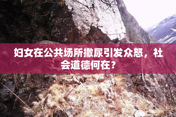 妇女在公共场所撒尿引发众怒，社会道德何在？