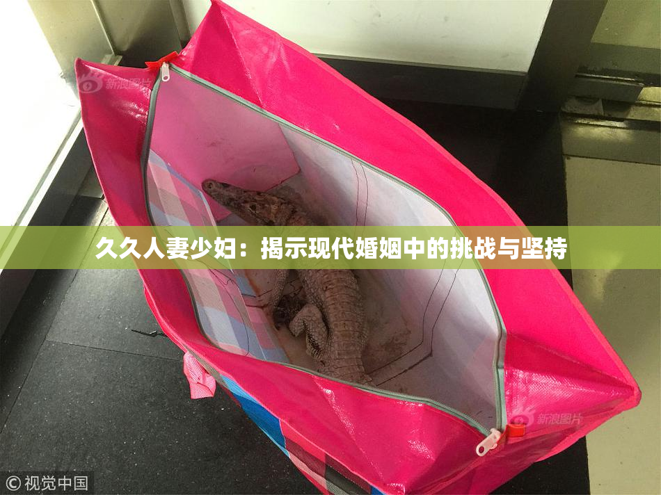 久久人妻少妇：揭示现代婚姻中的挑战与坚持