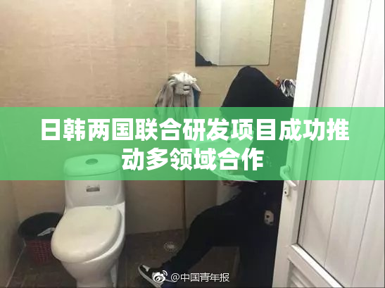 日韩两国联合研发项目成功推动多领域合作