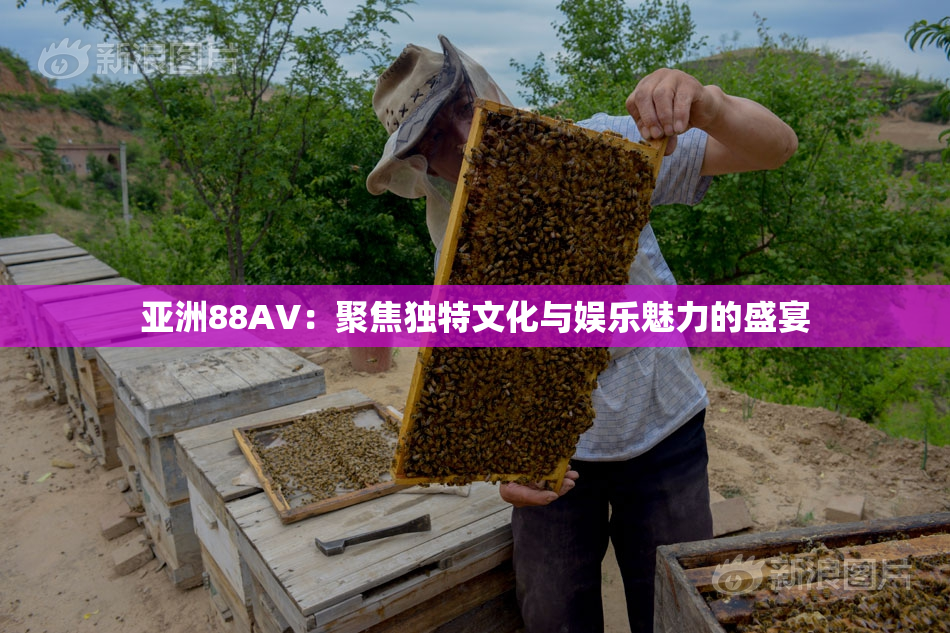 亚洲88AV：聚焦独特文化与娱乐魅力的盛宴