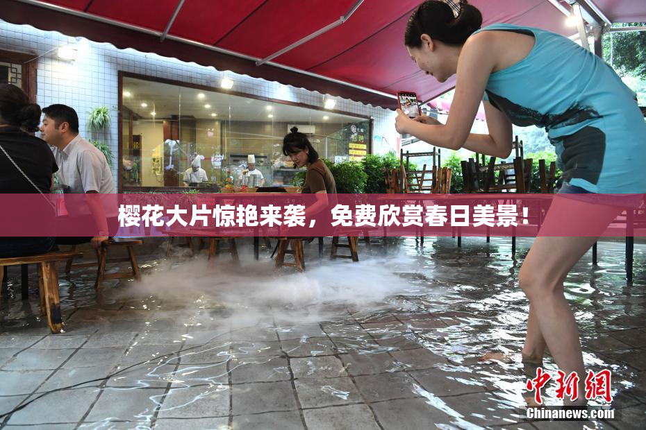 樱花大片惊艳来袭，免费欣赏春日美景！