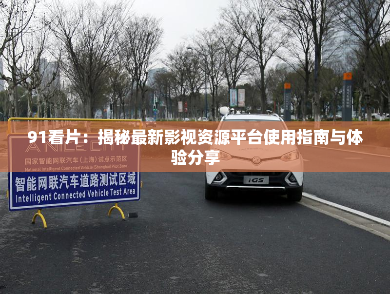91看片：揭秘最新影视资源平台使用指南与体验分享