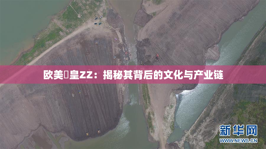 欧美嘼皇ZZ：揭秘其背后的文化与产业链