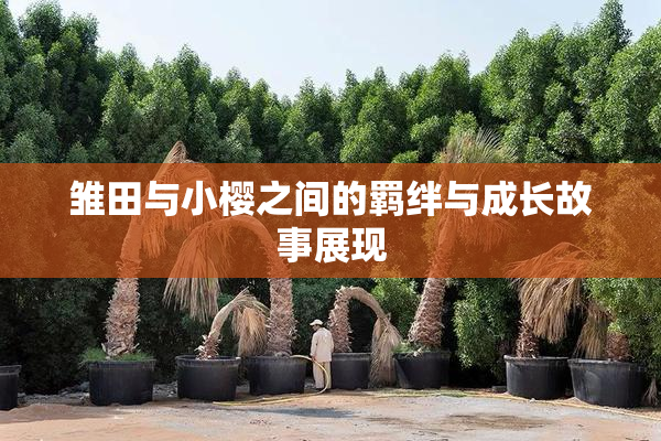 雏田与小樱之间的羁绊与成长故事展现