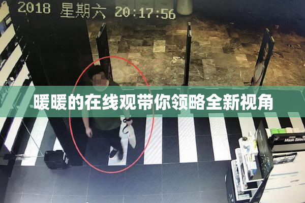 暖暖的在线观带你领略全新视角