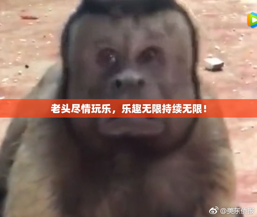 老头尽情玩乐，乐趣无限持续无限！