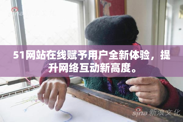 51网站在线赋予用户全新体验，提升网络互动新高度。