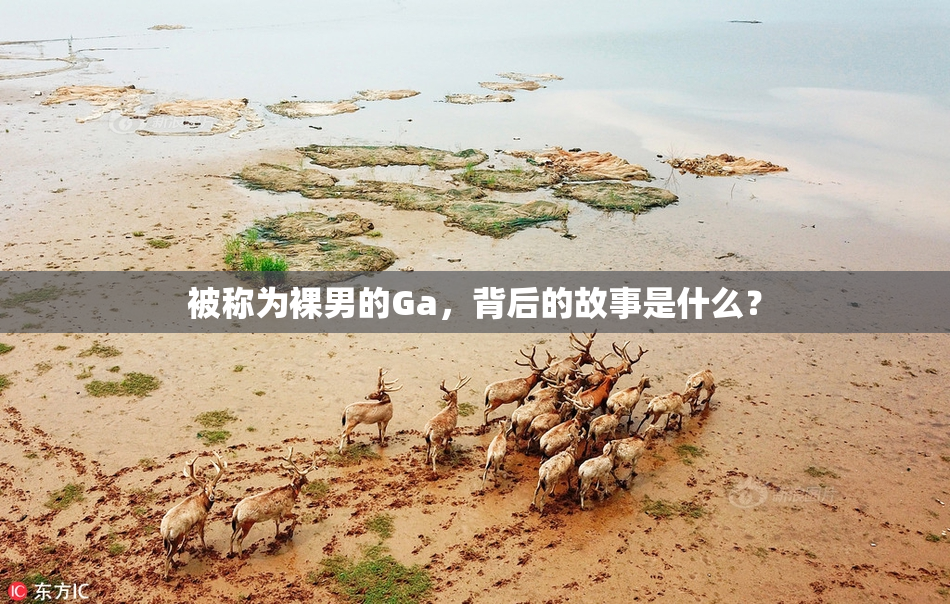 被称为裸男的Ga，背后的故事是什么？