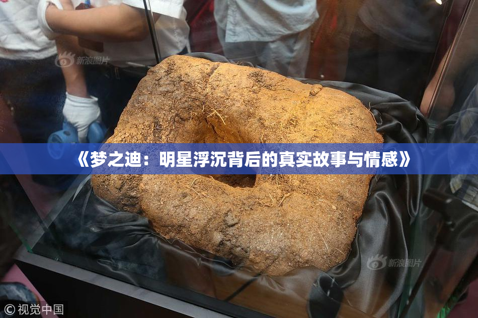 《梦之迪：明星浮沉背后的真实故事与情感》