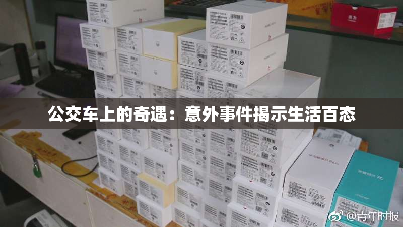 公交车上的奇遇：意外事件揭示生活百态