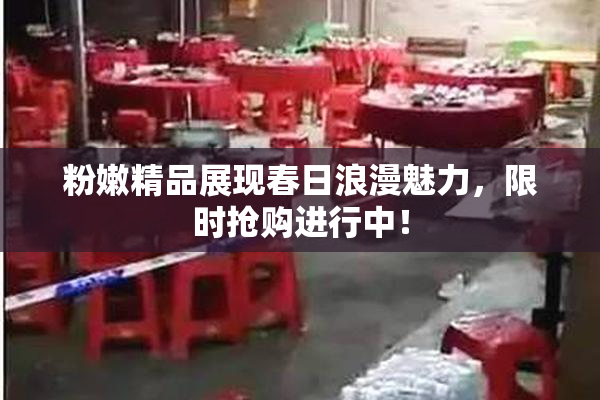 粉嫩精品展现春日浪漫魅力，限时抢购进行中！