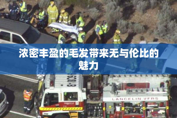 浓密丰盈的毛发带来无与伦比的魅力