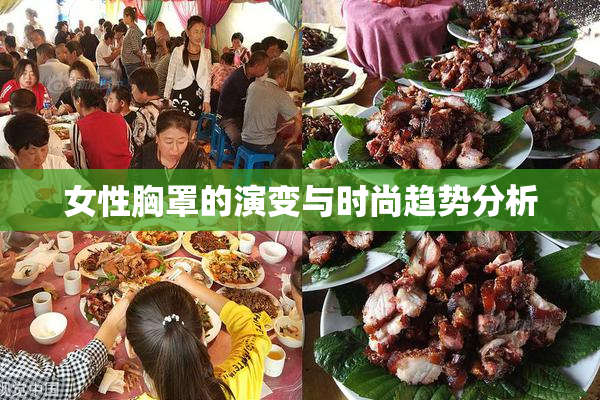 女性胸罩的演变与时尚趋势分析