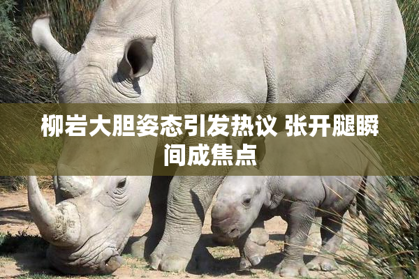 柳岩大胆姿态引发热议 张开腿瞬间成焦点
