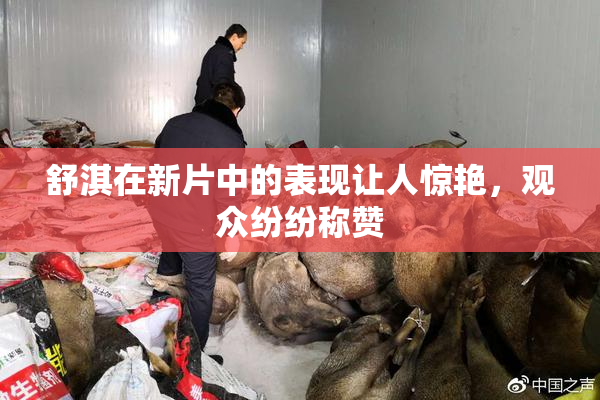 舒淇在新片中的表现让人惊艳，观众纷纷称赞