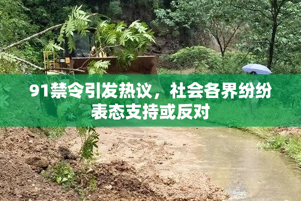 91禁令引发热议，社会各界纷纷表态支持或反对
