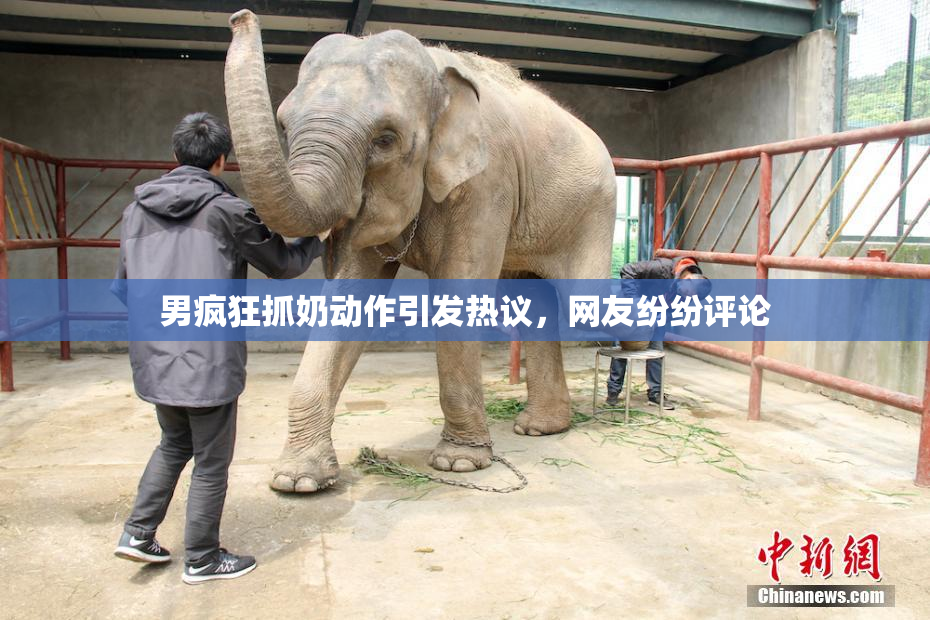 男疯狂抓奶动作引发热议，网友纷纷评论