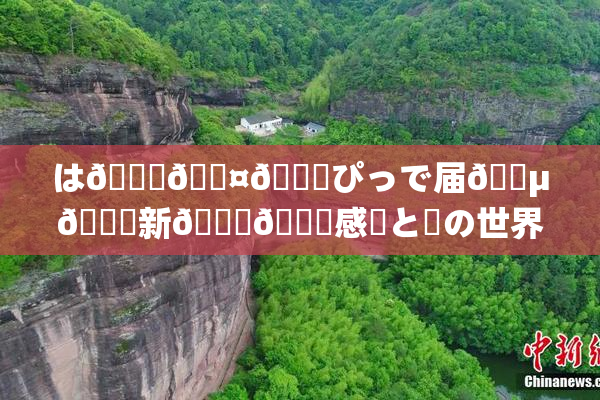は🍑🖤🌃ぴっで届🈵🌃新👅🍑感動と夢の世界