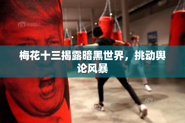 梅花十三揭露暗黑世界，挑动舆论风暴