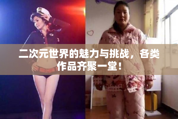 二次元世界的魅力与挑战，各类作品齐聚一堂！