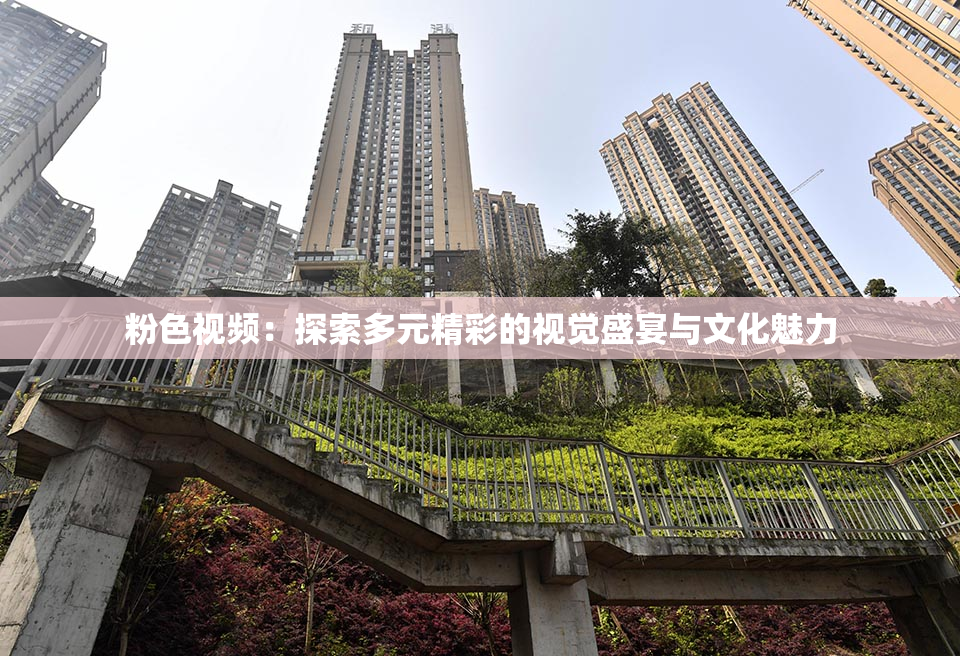 粉色视频：探索多元精彩的视觉盛宴与文化魅力