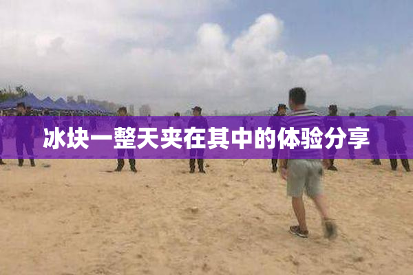 冰块一整天夹在其中的体验分享