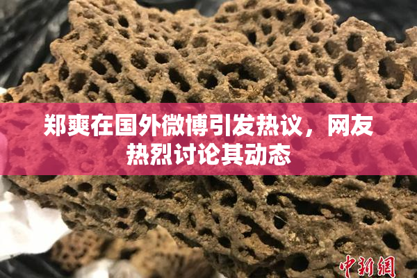 郑爽在国外微博引发热议，网友热烈讨论其动态