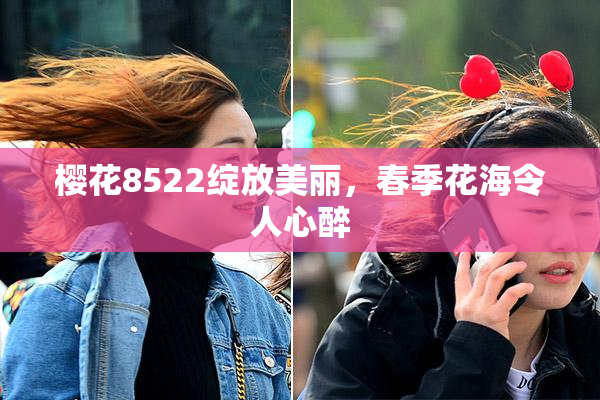 樱花8522绽放美丽，春季花海令人心醉