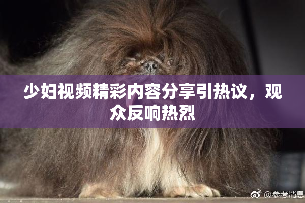 少妇视频精彩内容分享引热议，观众反响热烈