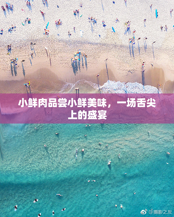 小鲜肉品尝小鲜美味，一场舌尖上的盛宴
