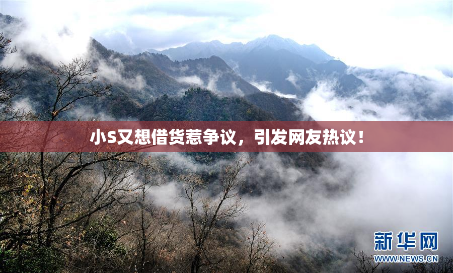 小S又想借货惹争议，引发网友热议！