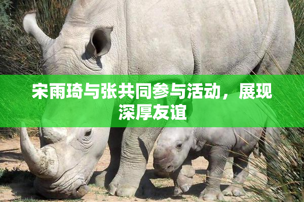 宋雨琦与张共同参与活动，展现深厚友谊