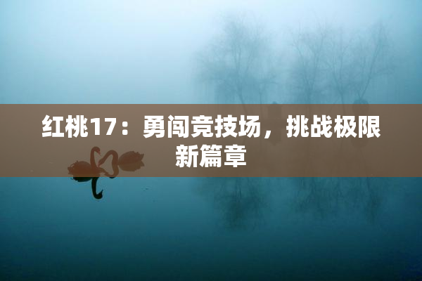 红桃17：勇闯竞技场，挑战极限新篇章