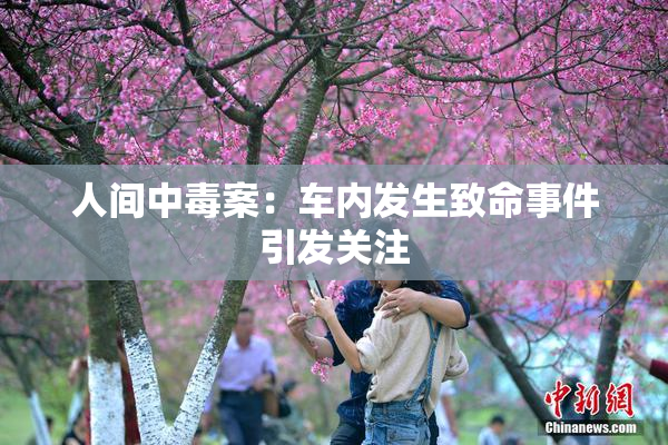 人间中毒案：车内发生致命事件引发关注