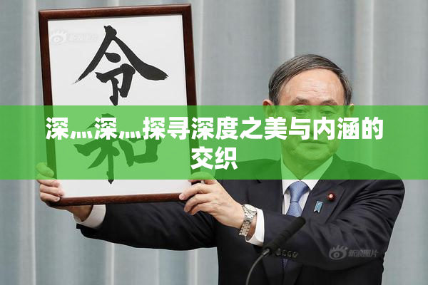 深灬深灬探寻深度之美与内涵的交织