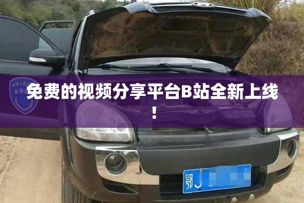 免费的视频分享平台B站全新上线！