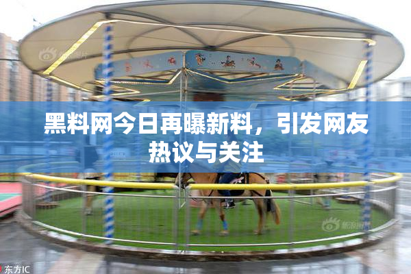 黑料网今日再曝新料，引发网友热议与关注