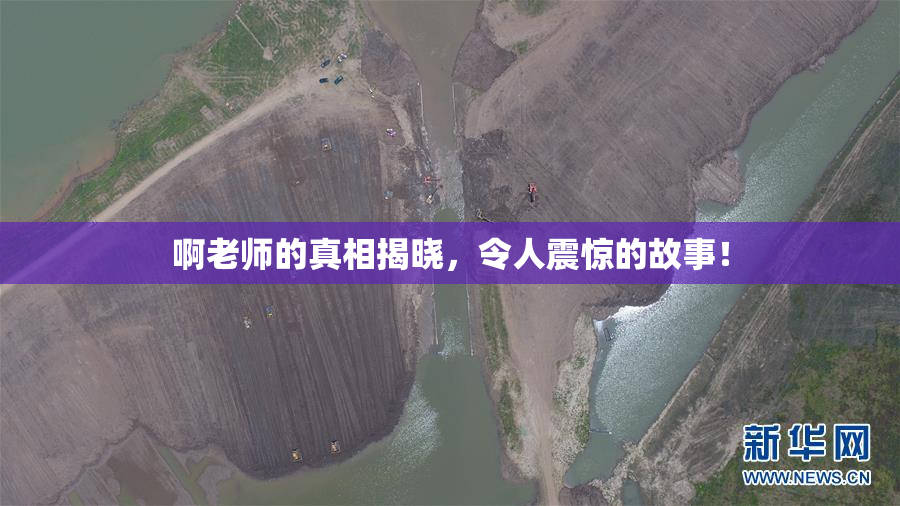 啊老师的真相揭晓，令人震惊的故事！