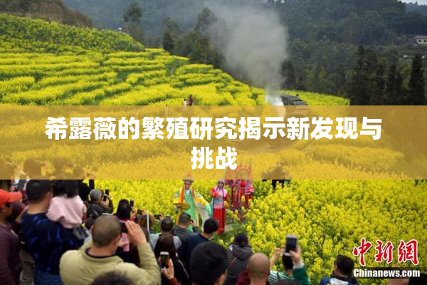 希露薇的繁殖研究揭示新发现与挑战