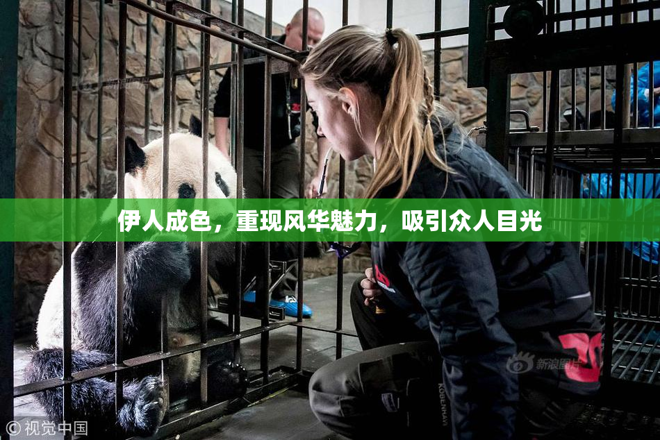 伊人成色，重现风华魅力，吸引众人目光