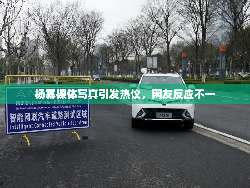 杨幂裸体写真引发热议，网友反应不一