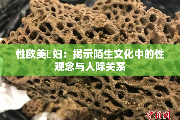 性欧美婬妇：揭示陌生文化中的性观念与人际关系
