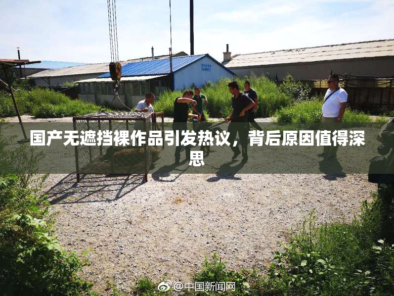 国产无遮挡裸作品引发热议，背后原因值得深思